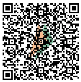 UPI QR Code