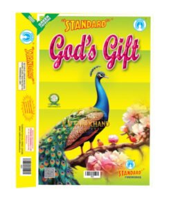 God's Gift