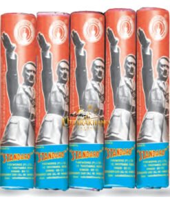 Hitler 10 CM
